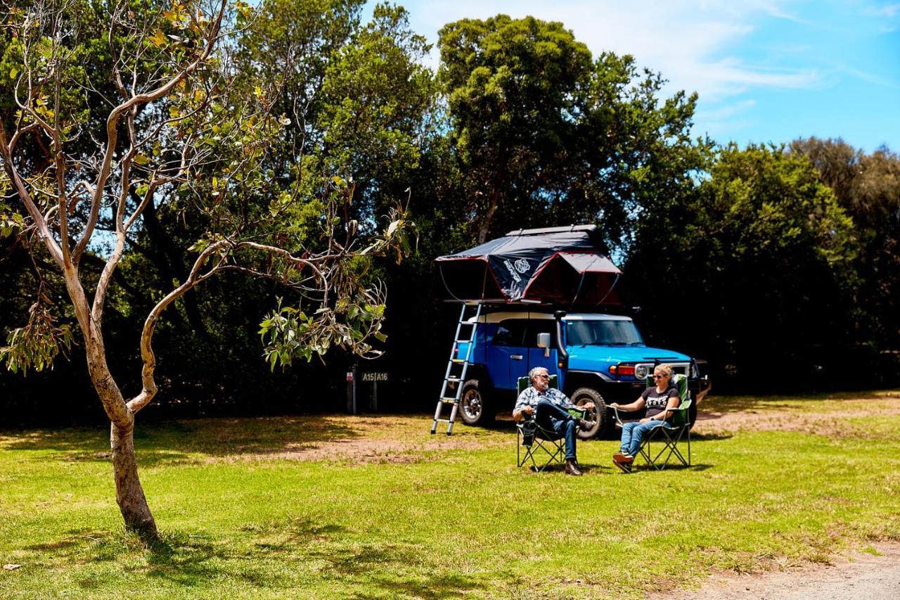 Kennett River Family Caravan Park Wye River Ngoại thất bức ảnh