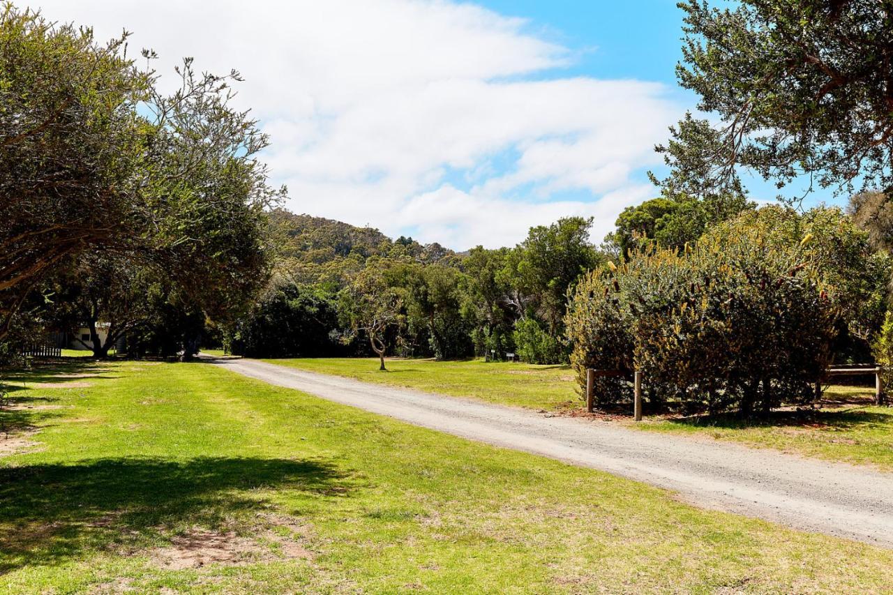 Kennett River Family Caravan Park Wye River Ngoại thất bức ảnh