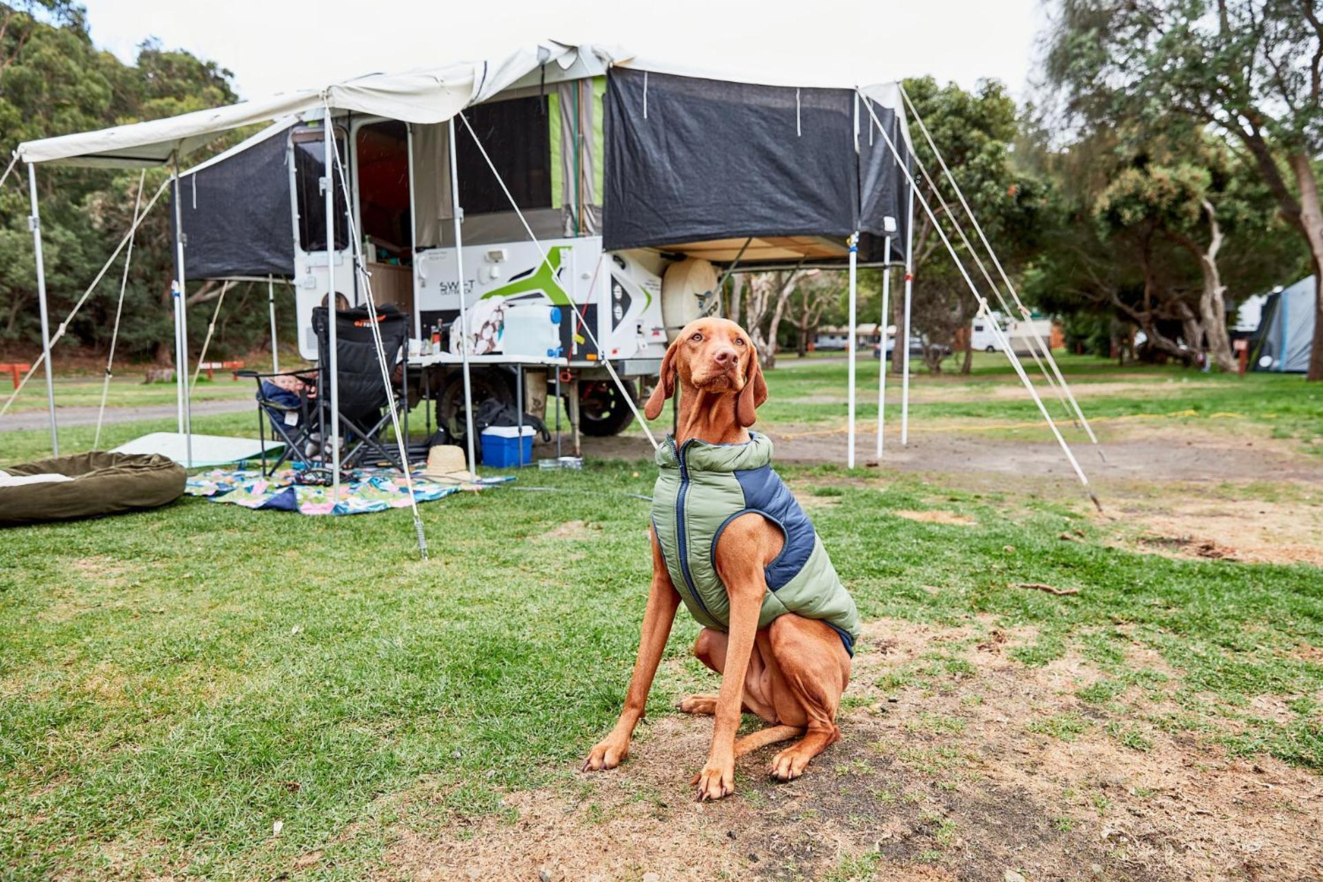 Kennett River Family Caravan Park Wye River Ngoại thất bức ảnh